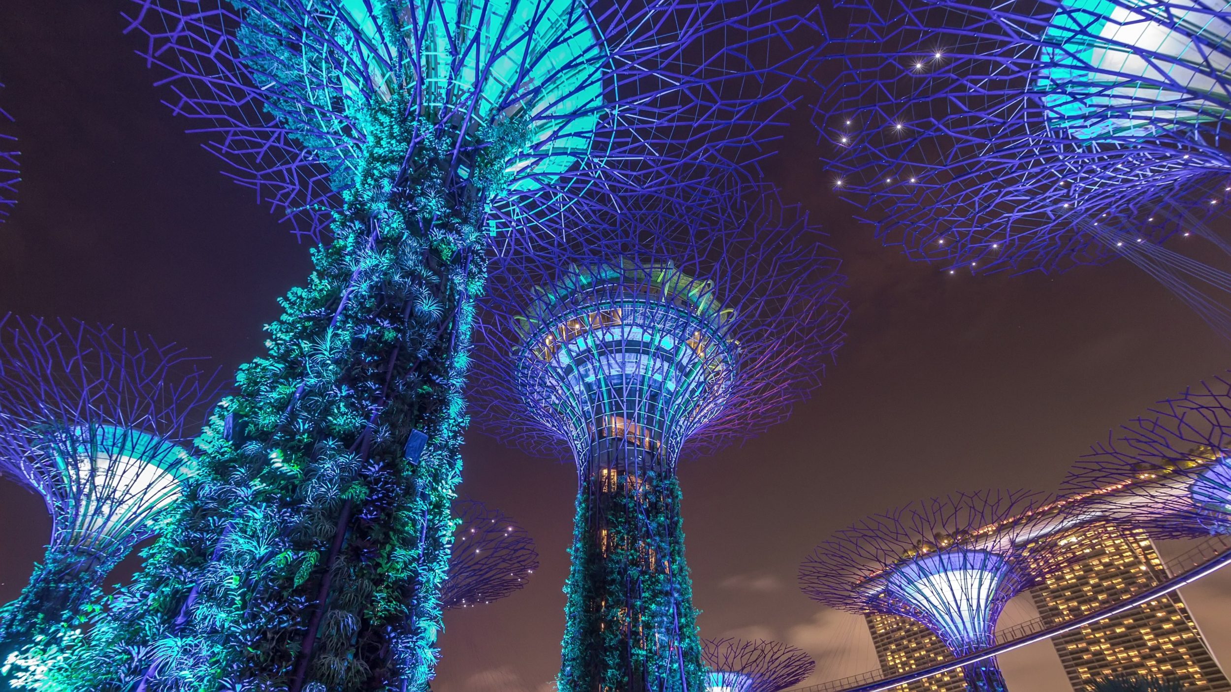 Asia, GTR Asia, Global trade, digitisation