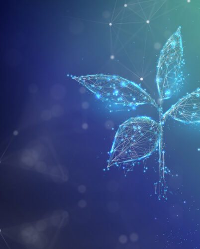 Abstract blue plant growing from coins pile